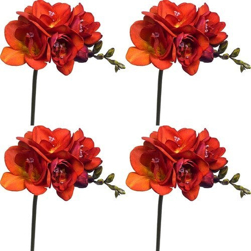 Freesia hybrid 'Double Red'