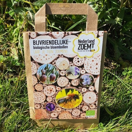 'BIO Flower Bulbs' Bulb Pack