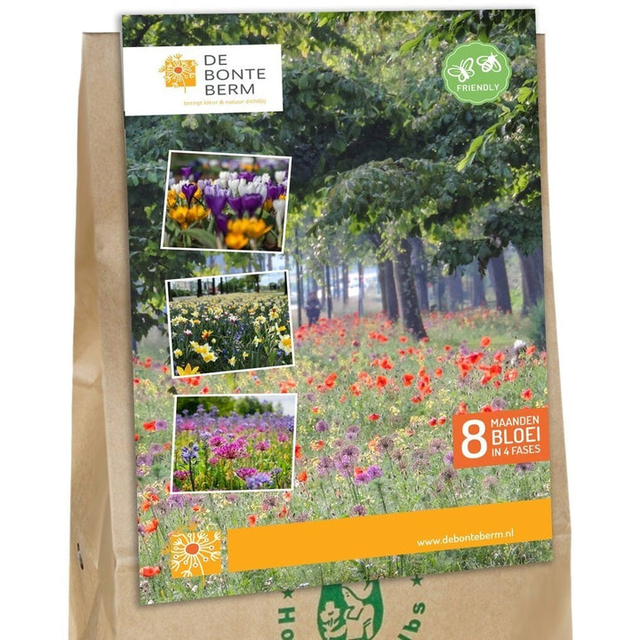 'Colorful Verge' Bulb Package