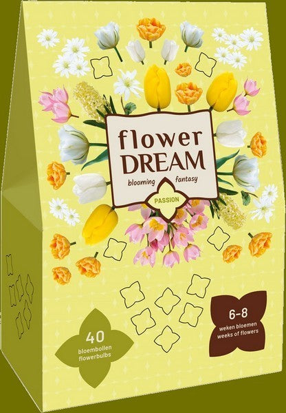 Bulb Package 'Dry Garden'