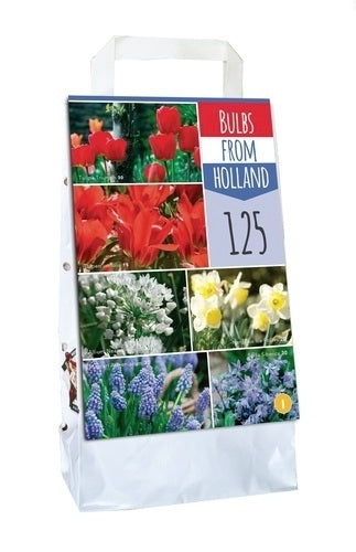 Bulb package 'Dutch Flag'
