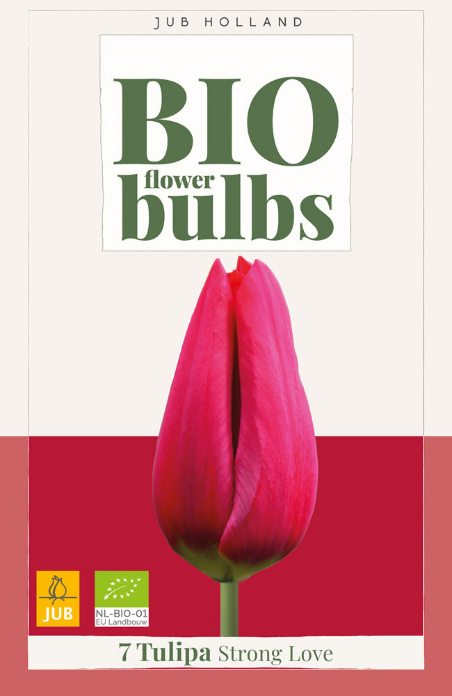 Tulipa 'Strong Love'