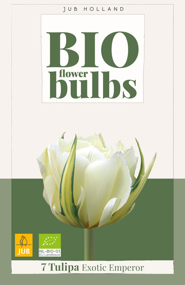 Tulipa 'Exotic Emperor'