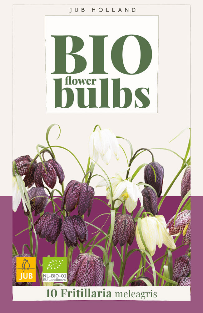 Fritillaria meleagris 'Mixed'