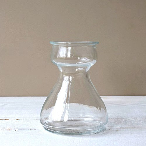 Hyacinth Vases Thick Transparent