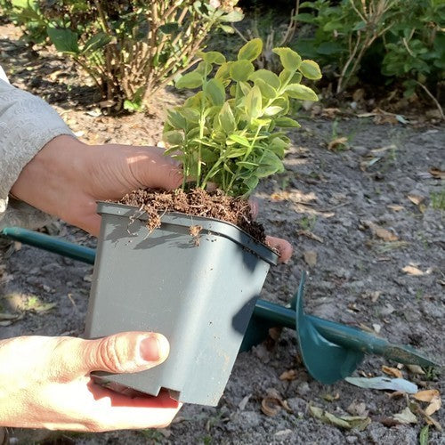 Mechanische Bollenplanter Ø 30 Mm