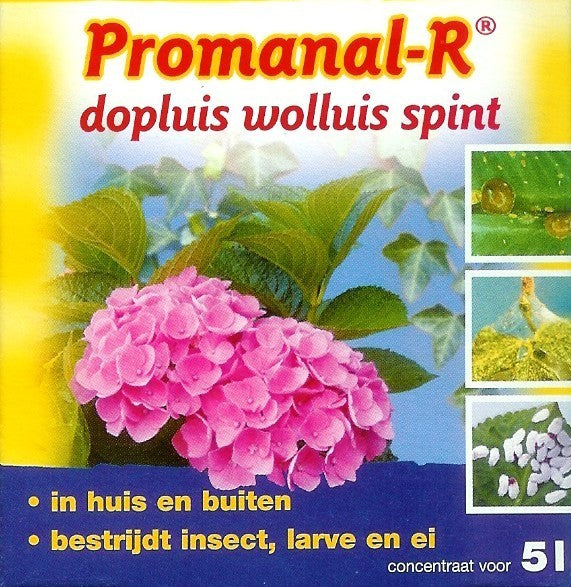 Against Insects PRomanal Conc.