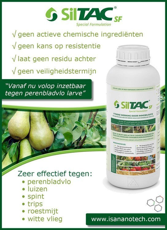 Against Insects Siltac SF 50ml