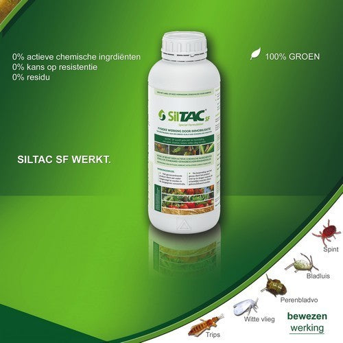 Tegen Insecten Siltac SF 50ml