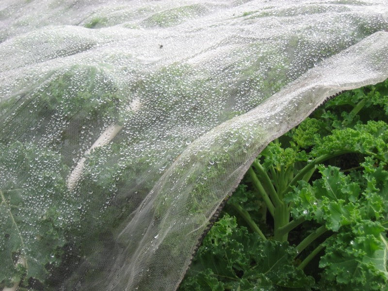 Tegen Insecten Koolvliegengaas