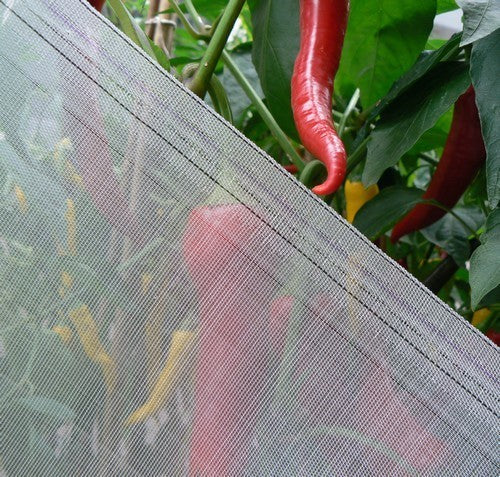 Tegen Insecten Insectennet ultra
