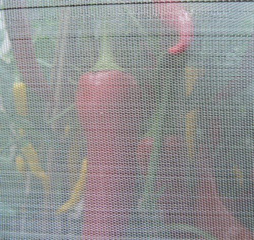 Tegen Insecten Insectennet ultra