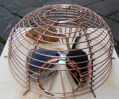 Tegen Dieren(vraat) Muizenvangkorfje