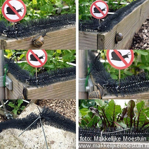 Tegen Dieren(vraat) Slakkenborstel