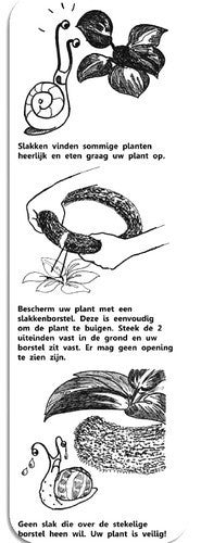 Tegen Dieren(vraat) Slakkenborstel