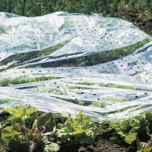 Climate Protection Perforated Foil