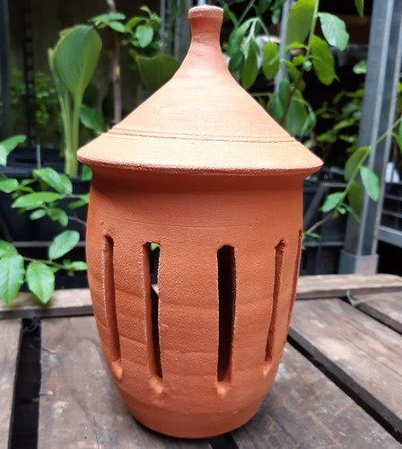 Vlinderpot terra
