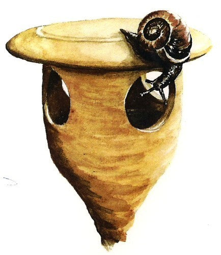 Snail trap