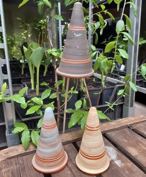 Insectenpot Heksenhoed Gekleurd 16 cm