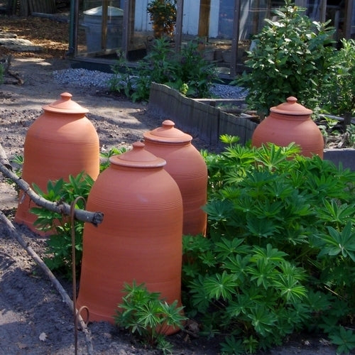 Bleach pot Rhubarb pot L
