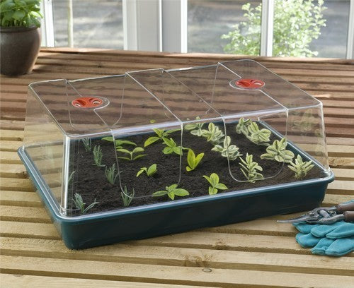 Seed Tray XL G155 (58x40.5x23)