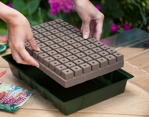Zaaikasjes Zaaikasje met groeimedium