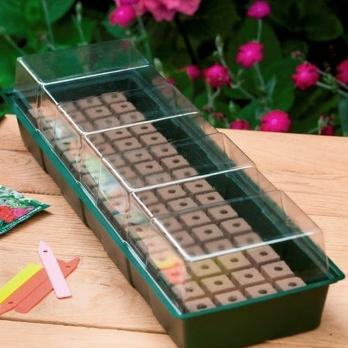 Zaaikasjes Zaaikasje met groeimedium