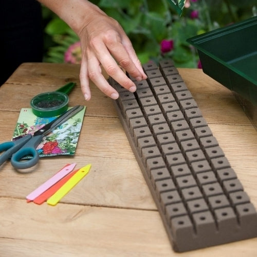 Zaaikasjes Zaaikasje met groeimedium