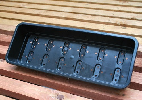 Seed Trays Narrow Tray + Holes G126 (37X13X6)