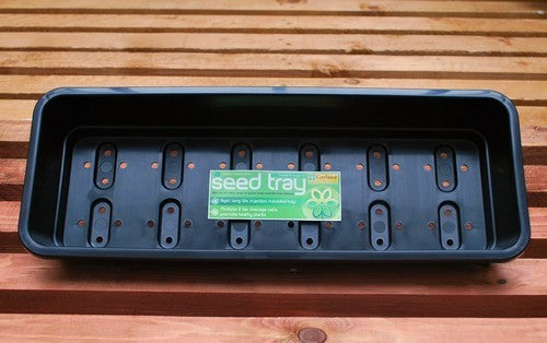 Seed Trays Narrow Tray + Holes G126 (37X13X6)