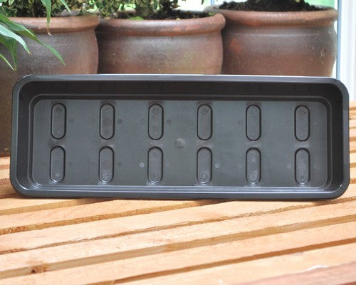 Zaaibakjes Narrow Tray geen gaten G131 (37X13X6)