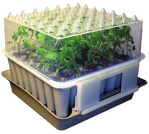 the Smart Seed Starter Plugbox