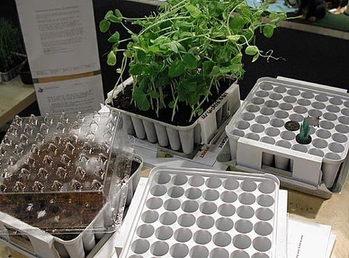 the Smart Seed Starter Plugbox