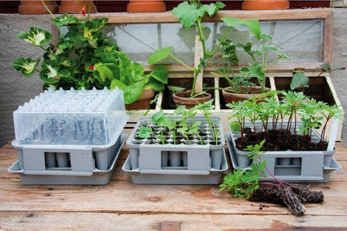 the Smart Seed Starter Plugbox