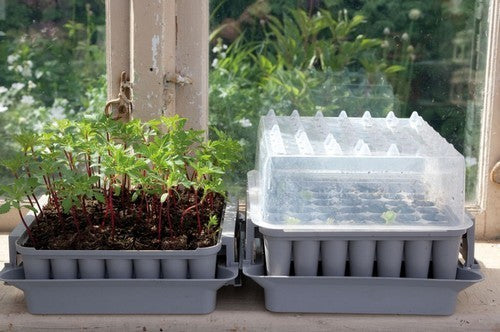 the Smart Seed Starter Plugbox
