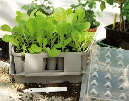 the Smart Seed Starter Plugbox