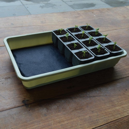 Smart Grow Kit Fast Root Kit - Self Watering G241