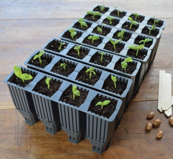 Slimme Kweekset Kweekset Fast Deep Root Kit G227