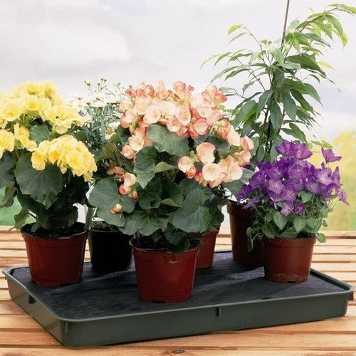 Bevloeiingsbak Self Watering Tray G140 / G70