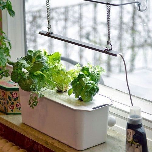 Seed-To-Harvest Harvy 3 Gift Pack Cultivation Kit