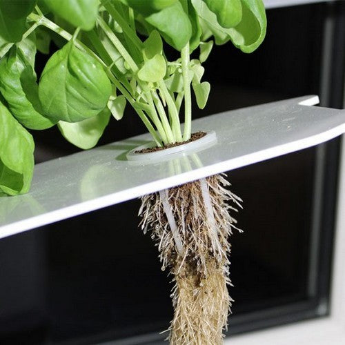 Seed-To-Harvest Harvy 3 Gift Pack Cultivation Kit