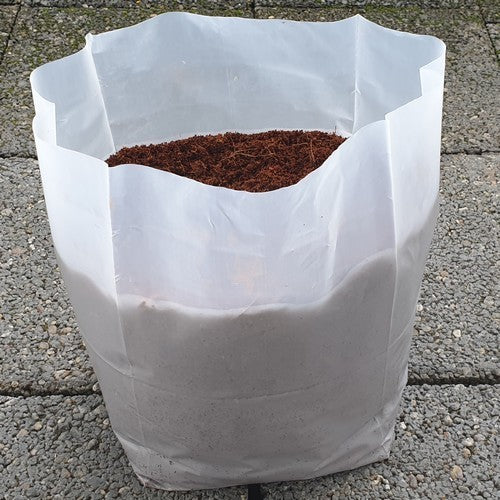 Zaaigrond Cocopeat Briketten