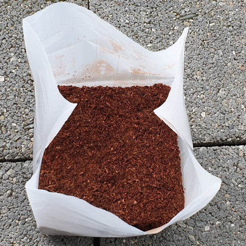 Zaaigrond Cocopeat Briketten