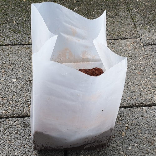 Zaaigrond Cocopeat Briketten