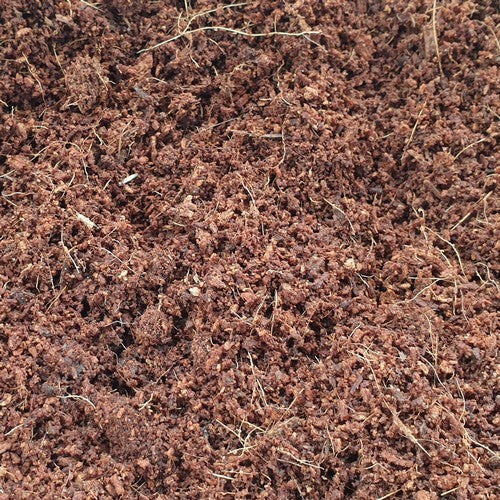 Zaaigrond Cocopeat Briketten