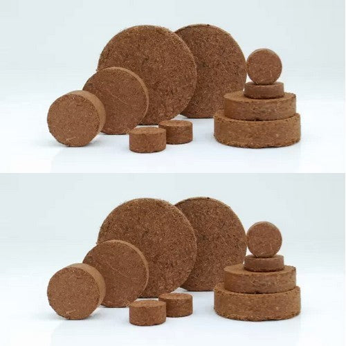 Seed Starting Cocopeat Tablets 3cm - 40pcs