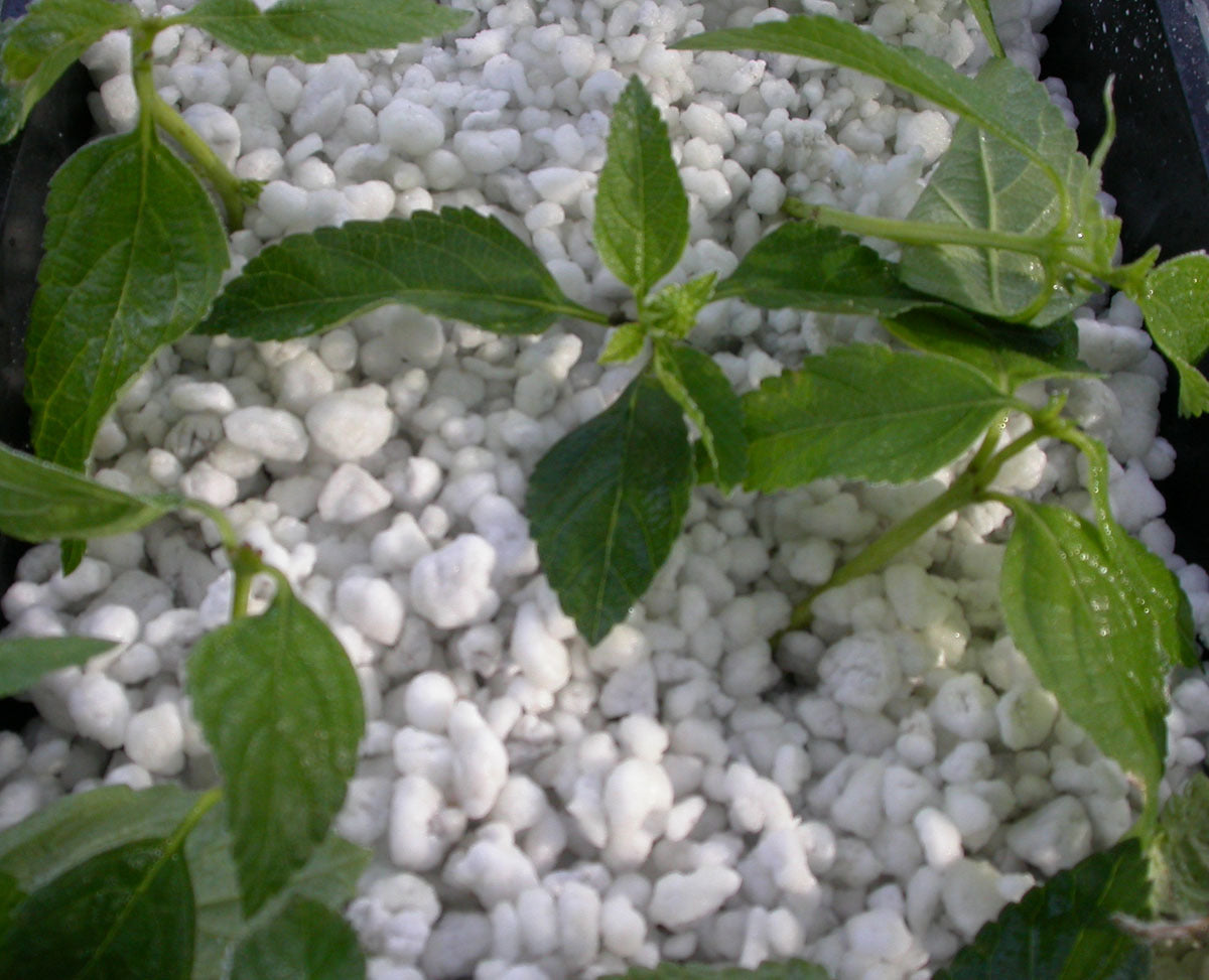 Perlite Nummer 2 Fijnheid 0, 6-2, 5 Mm
