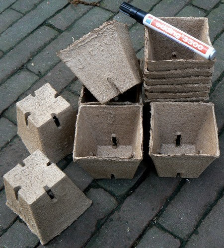 (The Original) Jiffy® Pots Square Pots 8cm