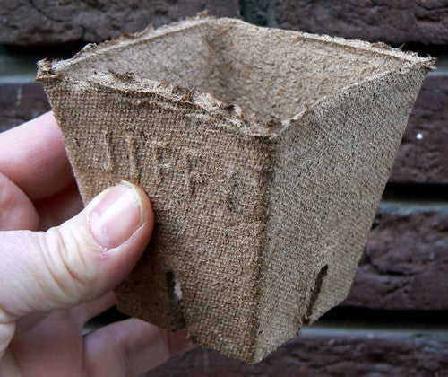 (The Original) Jiffy® Pots Square Pots 8cm