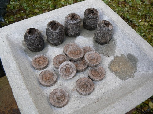 (de Echte) Jiffy® Potjes Jiffy-7 (24mm)